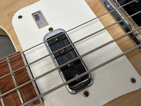 Close-up of electric bass guitar pickup and strings on white pickguard with natural wood body and rosewood fretboard.