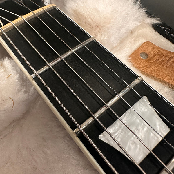 Close-up of guitar fretboard with pearl inlay and wound steel strings on plush guitar case lining