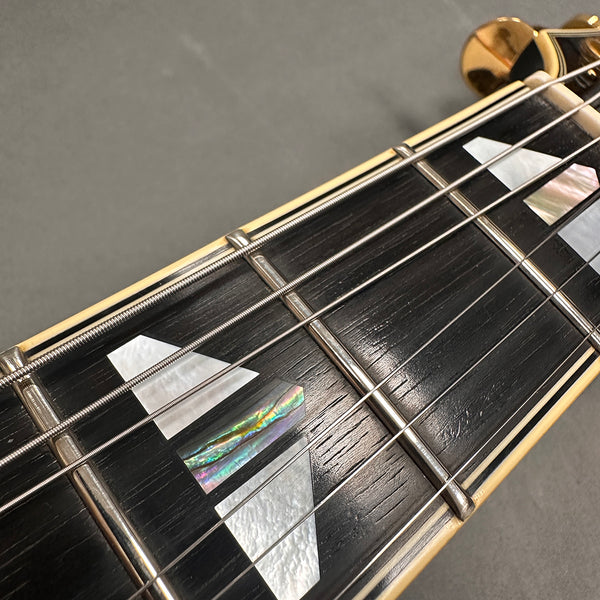 Close-up of guitar fretboard with metal frets, steel strings, and iridescent mother-of-pearl inlays on dark wood fingerboard