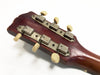 Vintage guitar headstock with aged tuning pegs and cream-colored tuning buttons on wooden neck