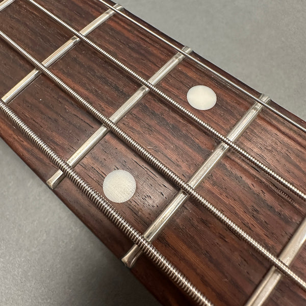 Close-up of guitar fretboard showing metal frets, silver wound strings, and white dot inlays on rosewood wood grain background