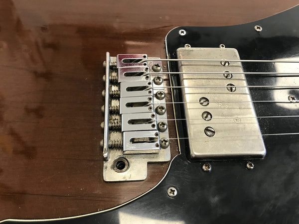 Close-up of electric guitar bridge, strings, and humbucker pickup on brown and black guitar body with visible screws and saddles