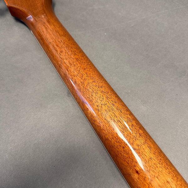 Glossy finished mahogany guitar neck close-up on gray background