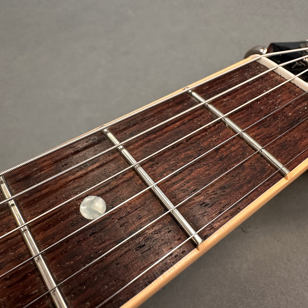 Close-up of rosewood guitar fretboard with metal frets and strings, pearl dot inlay on an acoustic guitar neck