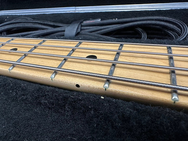 Close-up of maple guitar fretboard with metal frets and thick steel strings resting in a black plush guitar case with a black strap in the background.