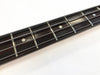 Close-up of dark wood guitar fretboard with metal frets and round white position markers on a white background