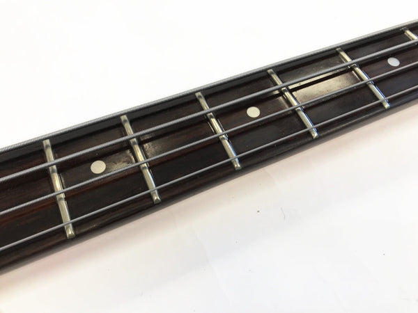 Close-up of dark wood guitar fretboard with metal frets and round white position markers on a white background