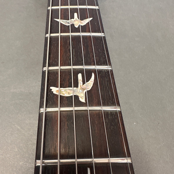 Close-up view of rosewood guitar fretboard with bird-shaped mother of pearl inlays and metal frets and strings