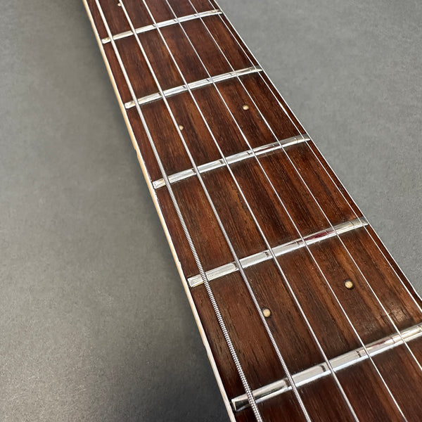 Close-up of a guitar fretboard with metal frets, dot inlays, and steel strings on a dark wood neck against a gray background