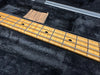 Close-up of maple fretboard with metal frets and steel strings on electric bass guitar neck in black plush guitar case with desiccant packet