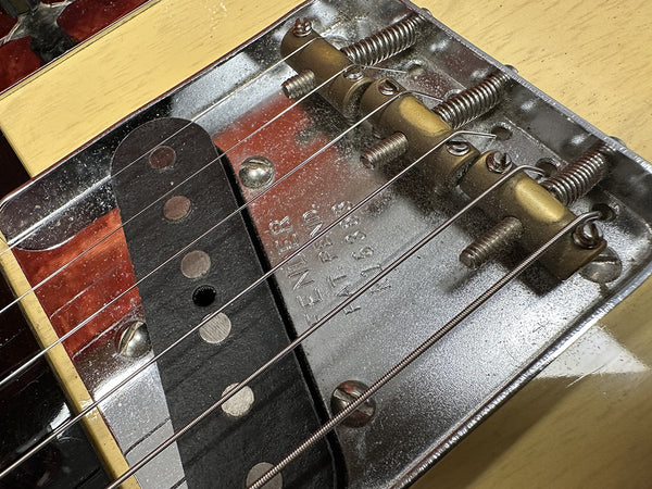 Close-up of vintage Fender Telecaster bridge and single-coil pickup with metal plate and guitar strings