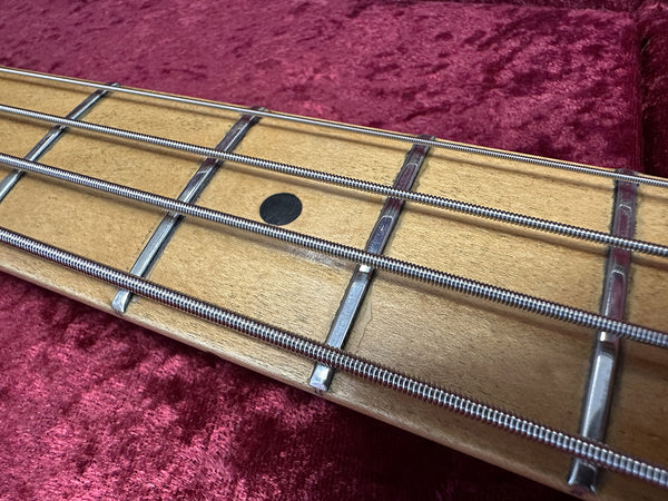 Close-up of a bass guitar fretboard with metal frets, black dot inlay, and thick wound strings on a red velvet background