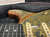 Close-up of electric guitar neck, frets, strings, and vintage-style pickguard with worn green and gold pattern on wooden body in black plush case