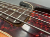 Close-up of bass guitar strings and frets with tortoiseshell pickguard and dark wooden fretboard detail