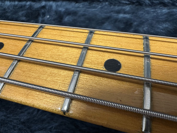 Close-up of maple guitar fretboard with metal frets, black dot inlay, and steel guitar strings on dark background
