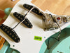Fender Stratocaster Custom Shop 55 Journeyman Relic